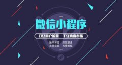 网站建设-设计-维护、公众号小程序开发、微信小程序