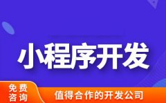 网站开发、微信开发、技术服务 微信小程序定制开发